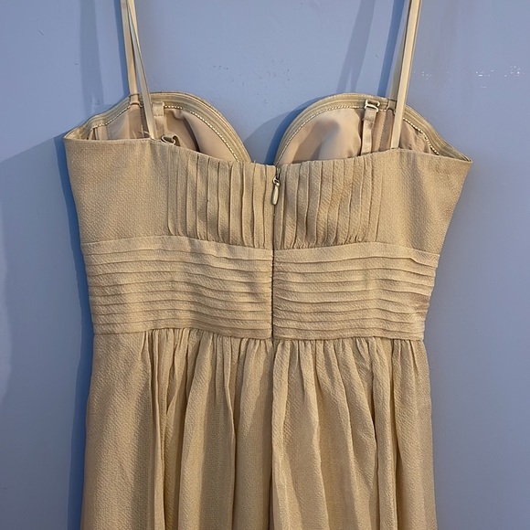 BCBG Maxazria Chatel Gown in Champagne - Picture 6 of 7